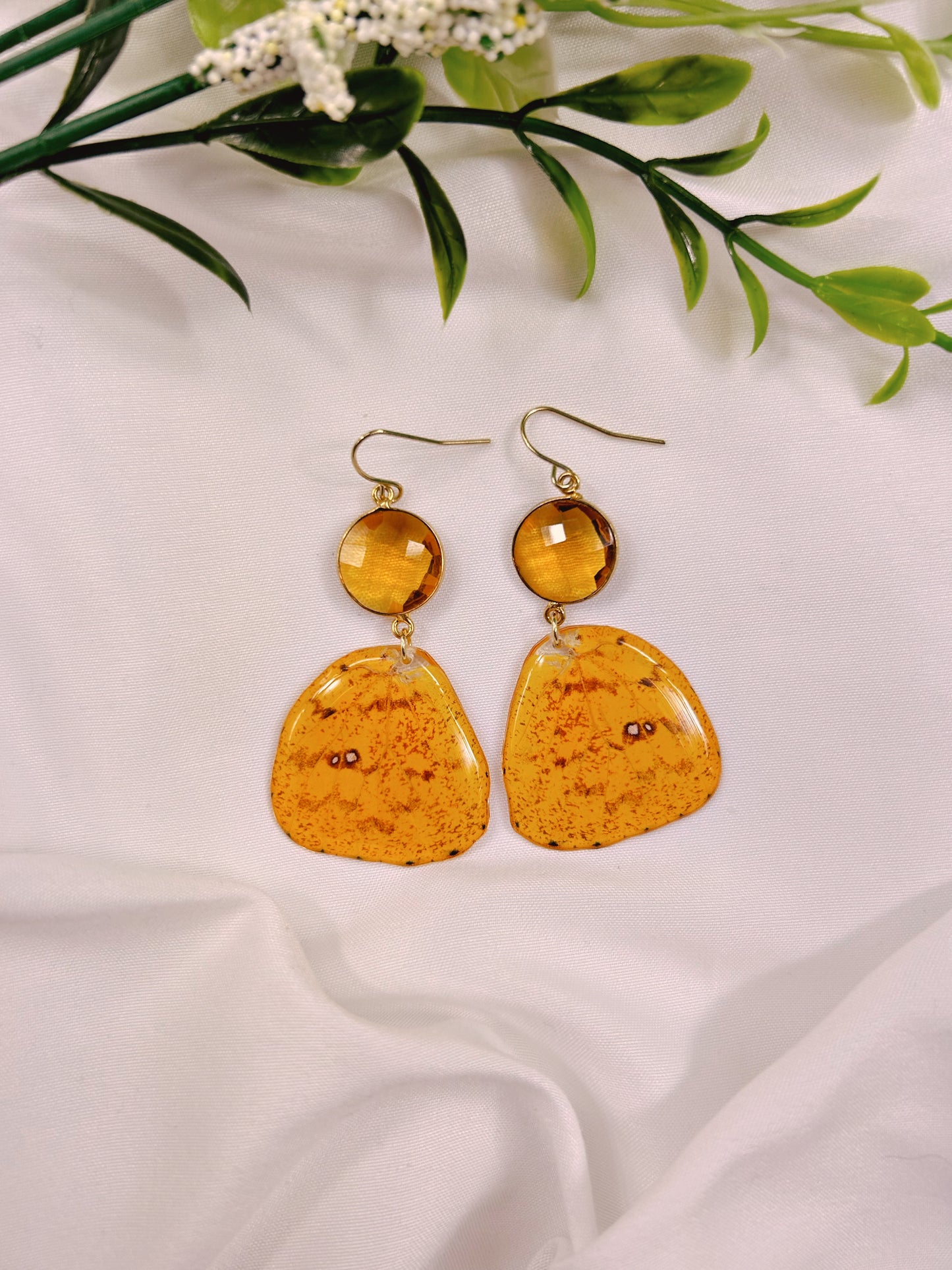 Citrine Phoebis Argante