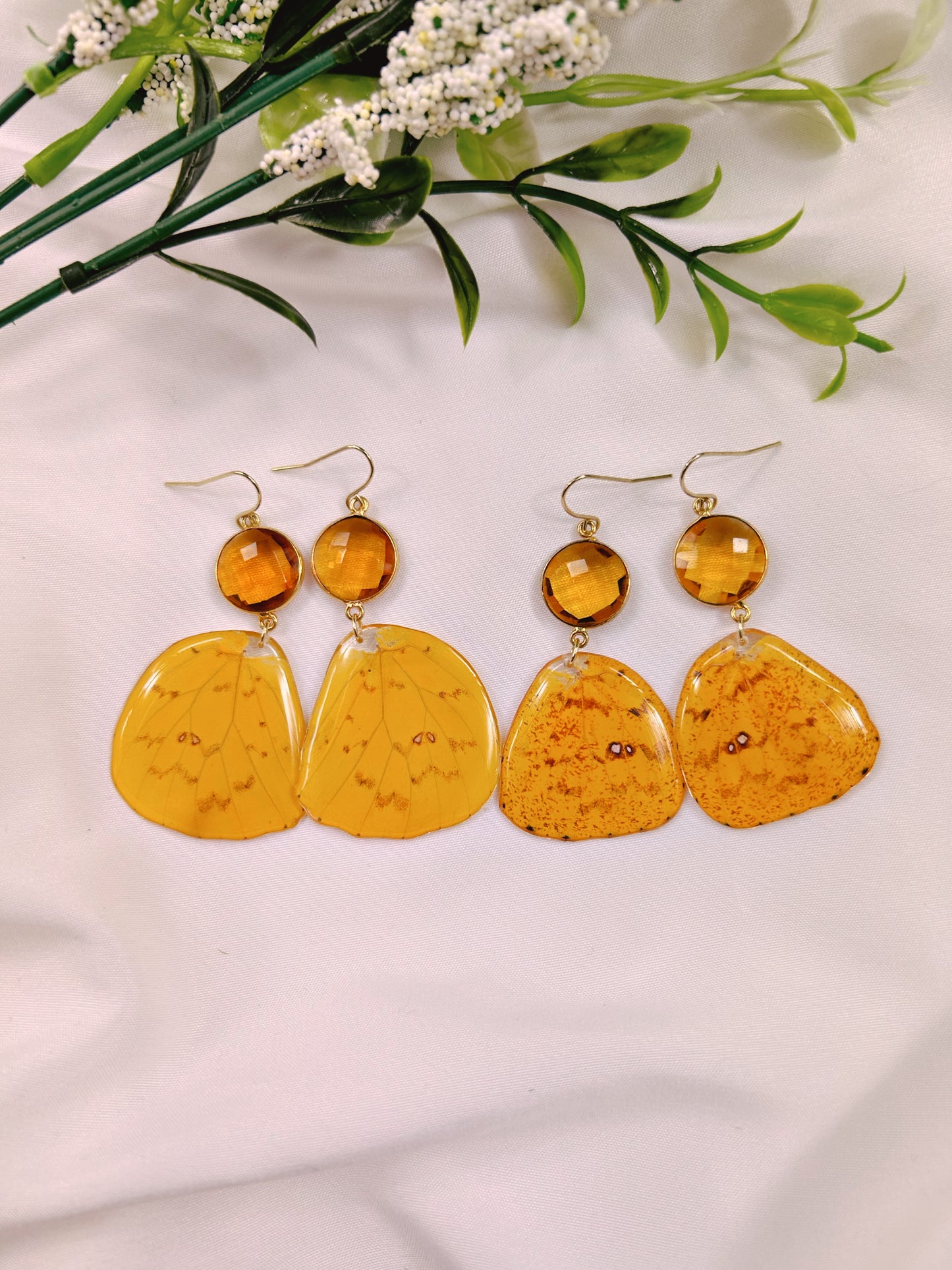 Citrine Phoebis Argante