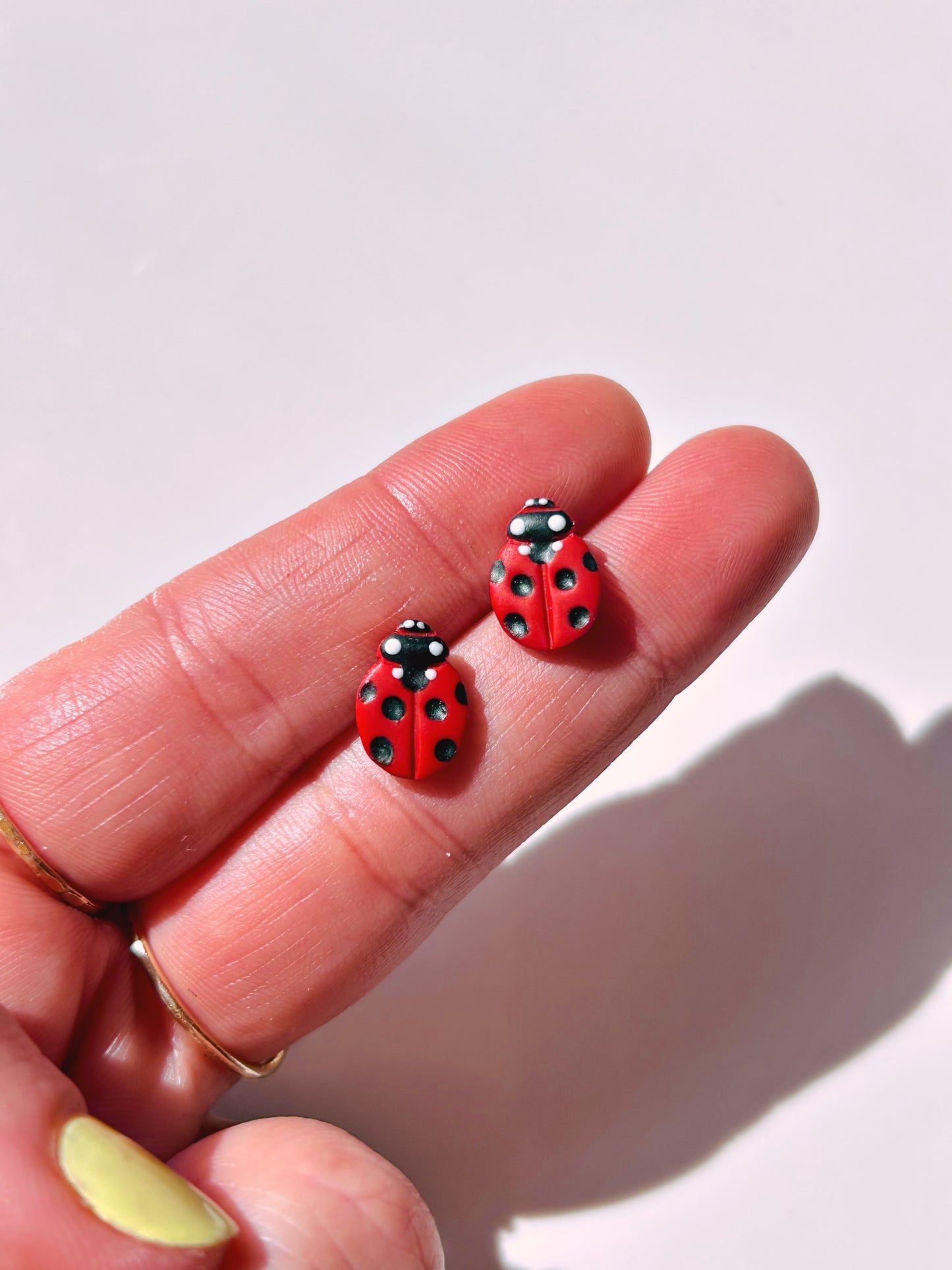 Ladybug