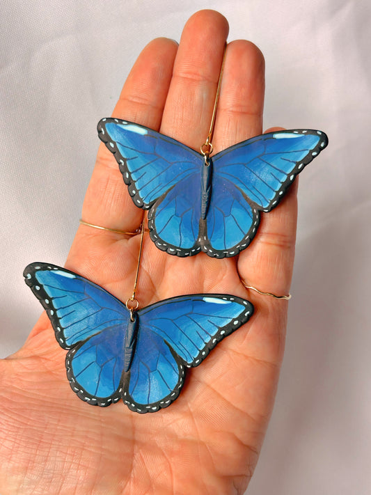 XL Blue Morpho