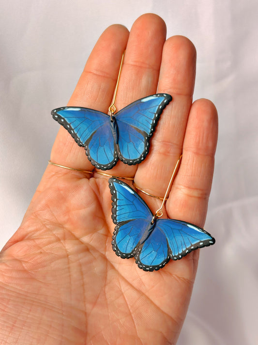 M Blue Morpho